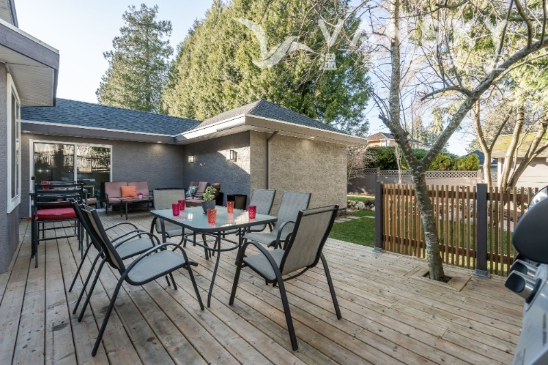 230101205229_8. backyard.jpg